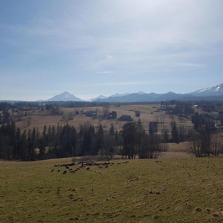 Villa Dorota Zakopane Eksteriør bilde