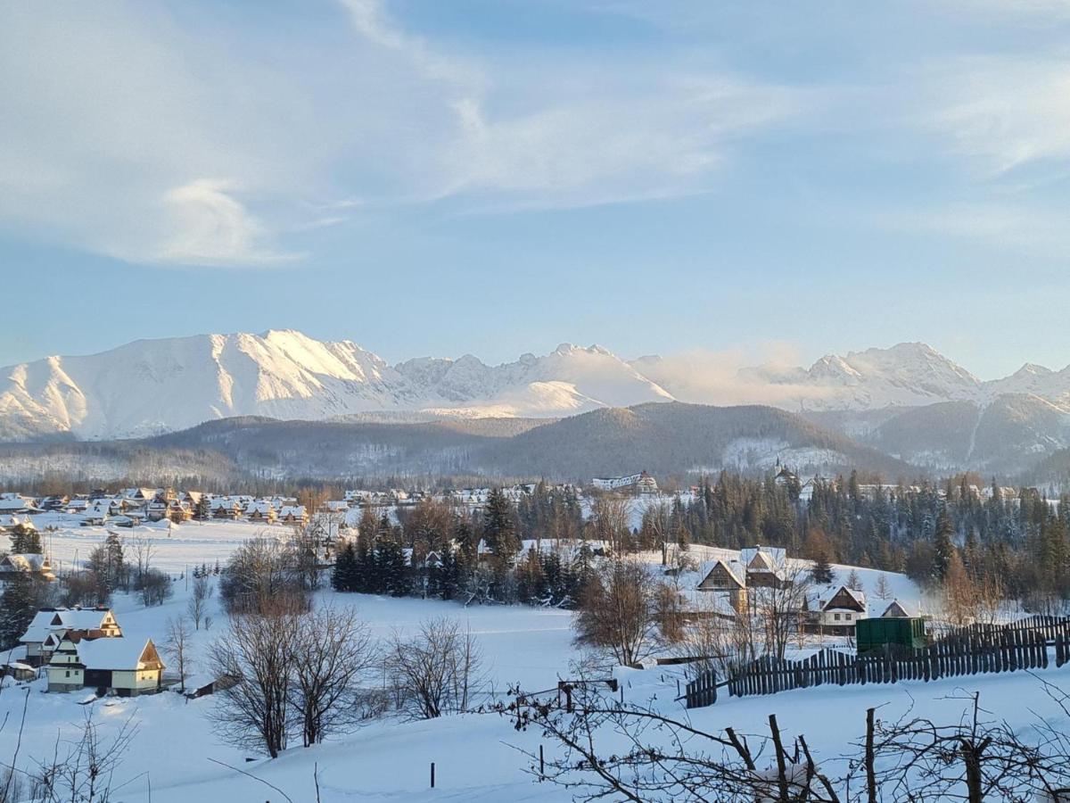 Villa Dorota Zakopane Eksteriør bilde