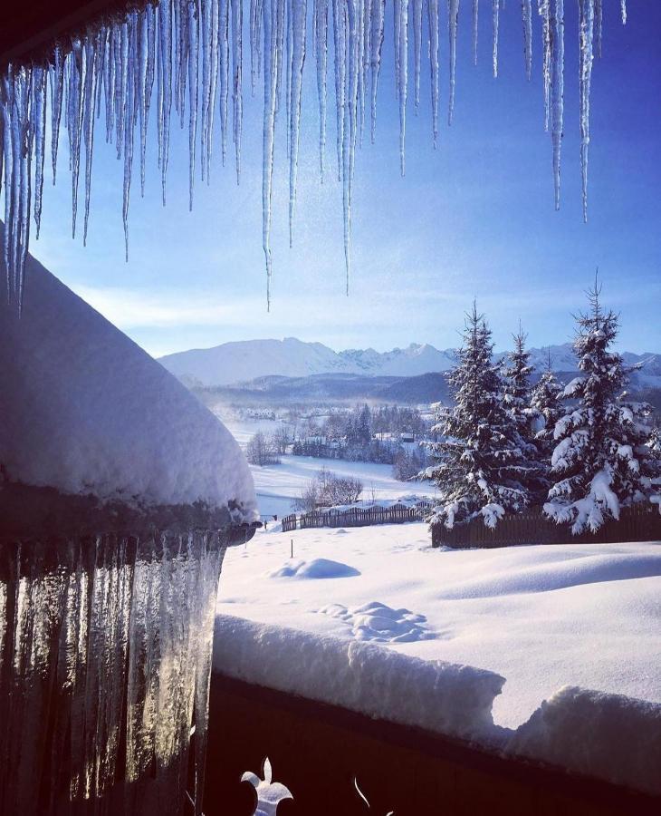 Villa Dorota Zakopane Eksteriør bilde